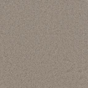 Textured Saxony Bashful Taupe Beige/Tan Carpet