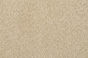 Casual Texture Portico Beige/Tan Carpet