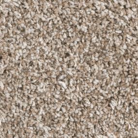 Textured Saxony Enrollment Beige/Tan Carpet