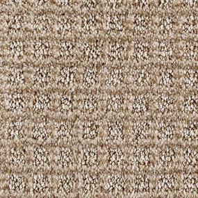 Pattern ANCIENT OAK Beige/Tan Carpet