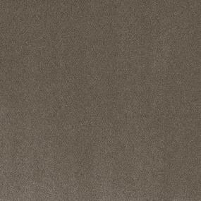 Textured Saxony Faithful Brown Carpet