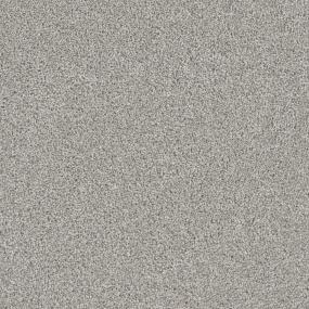 Texture Care Free Gray Carpet