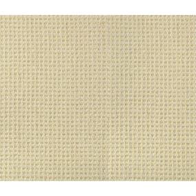 Pattern Sunrise Beige/Tan Carpet