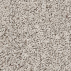 Casual Texture Chenille Beige/Tan Carpet