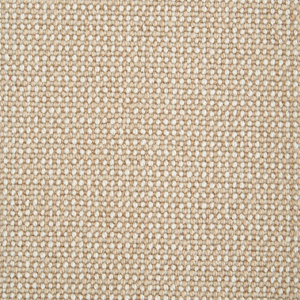 Loop Canvas Beige/Tan Carpet