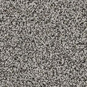 Textured Saxony Vineyard Gray Carpet