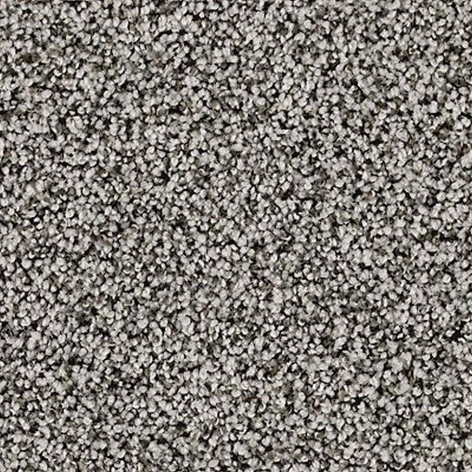 Textured Saxony Vineyard Gray Carpet