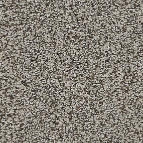 Textured Saxony Rockport Brown Carpet