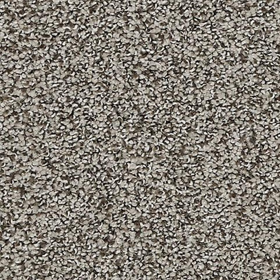 Textured Saxony Rockport Brown Carpet