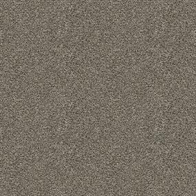 Textured Saxony Diplomat Brown Carpet