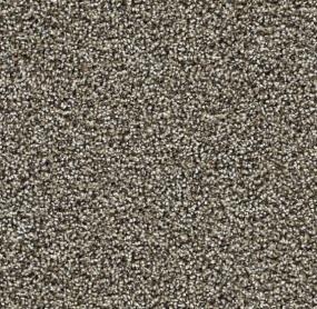 Textured Saxony Diplomat Brown Carpet