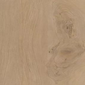 Amber Maple