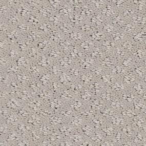 Pattern Nickel                         Beige/Tan Carpet