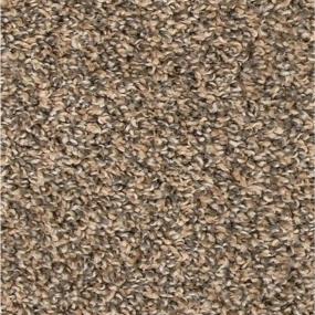 Textured Saxony Knitted Beige/Tan Carpet