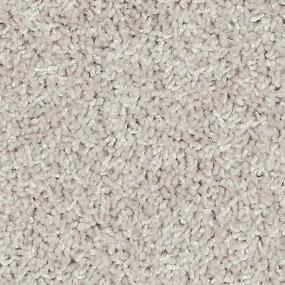 Texture Fountain Gray Carpet