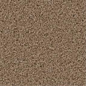 Textured Saxony Upon Request Beige/Tan Carpet