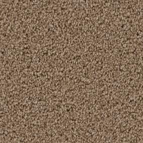 Texture Upon Request Beige/Tan Carpet