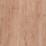 Ridgewood Silver Maple