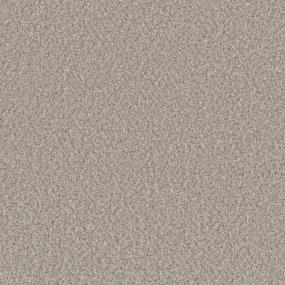 Textured Saxony Showpiece Gray Carpet
