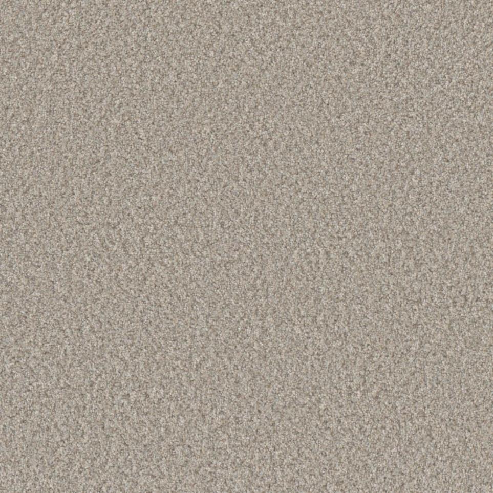 Textured Saxony Showpiece Gray Carpet