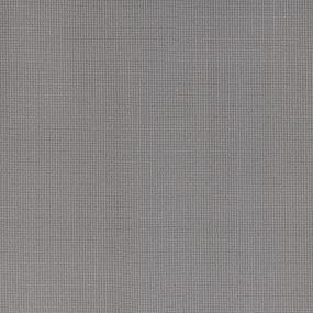 Loop Riverstone Gray Carpet
