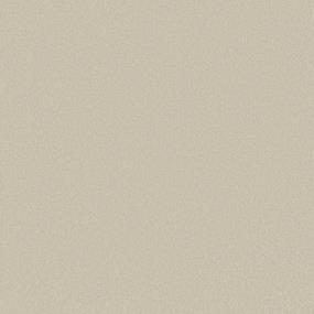 Textured Saxony Ivory Tusk Beige/Tan Carpet