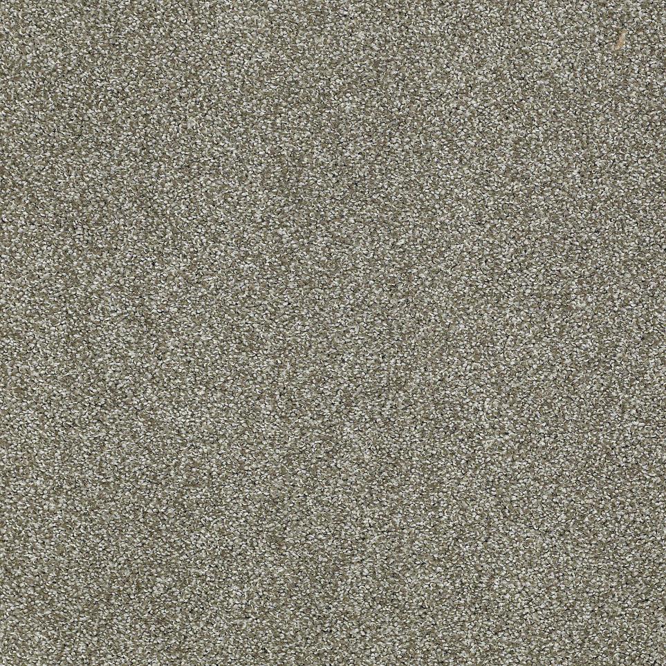 Texture Leap Frog Beige/Tan Carpet