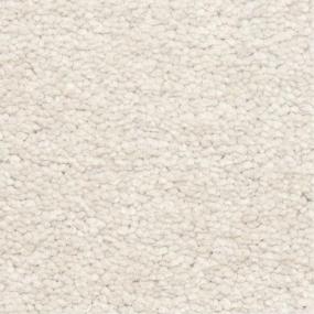 Casual Texture Fumar Beige/Tan Carpet