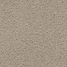 Textured Saxony Adore Beige/Tan Carpet