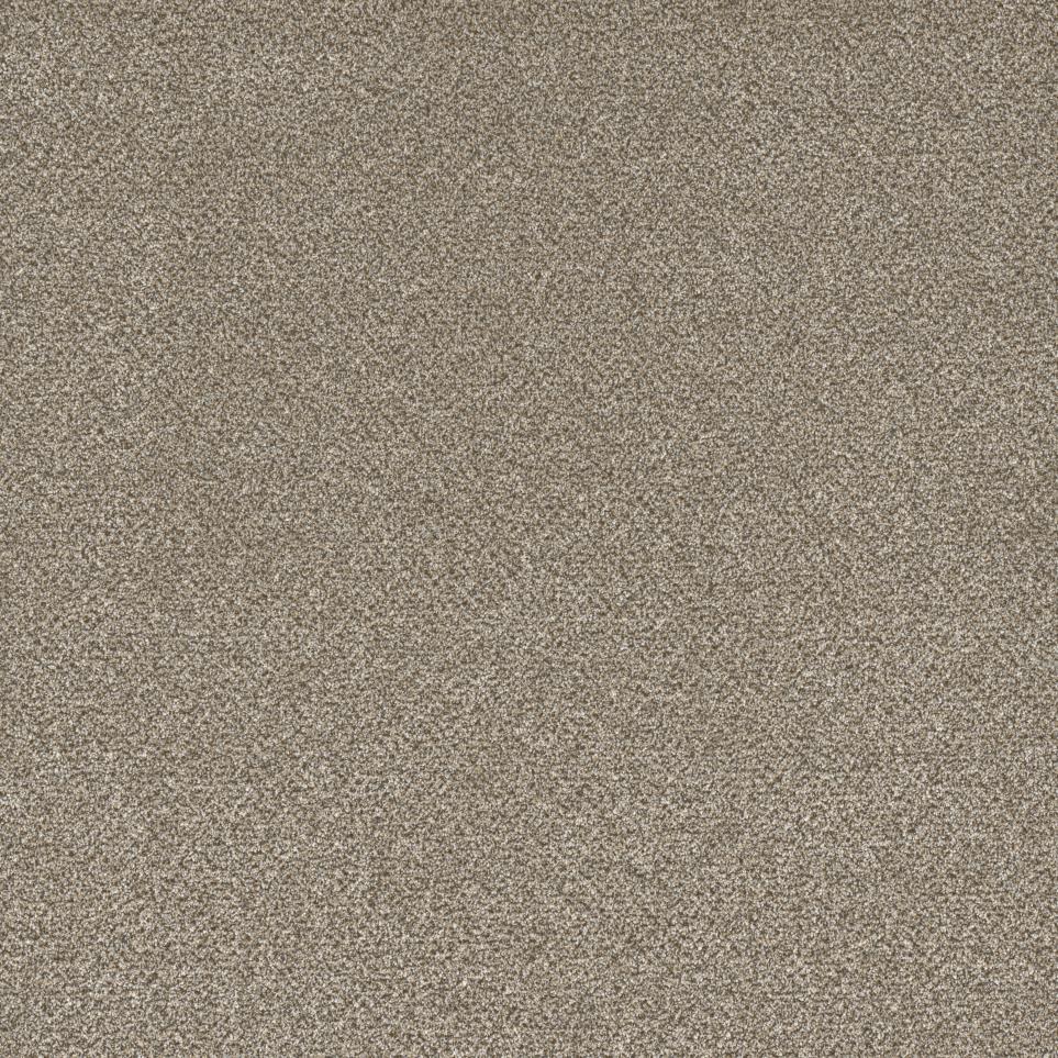 Textured Saxony Trail Beige/Tan Carpet