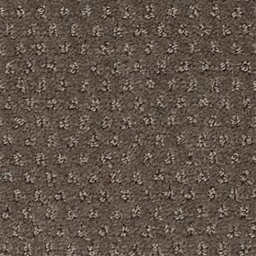 Pattern Shadow Brown Carpet