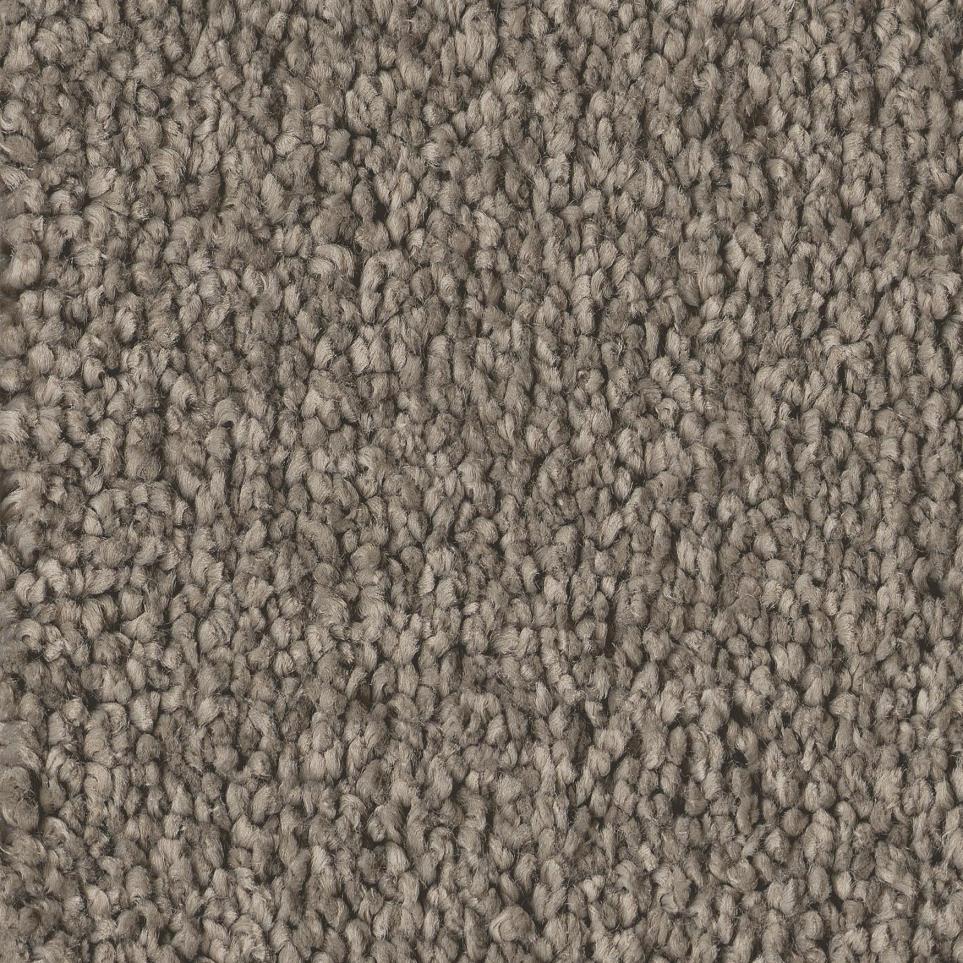 Casual Texture Flintstone Brown Carpet