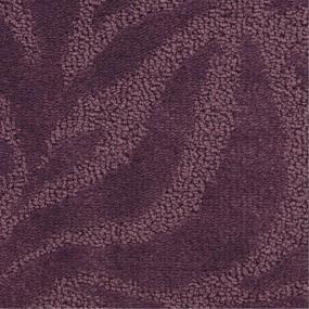 Pattern Stellenbosch Purple Carpet