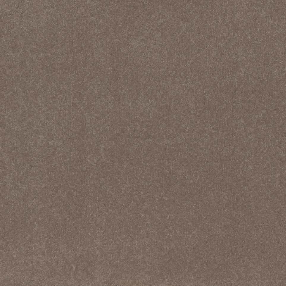 Textured Saxony Acorn Beige/Tan Carpet