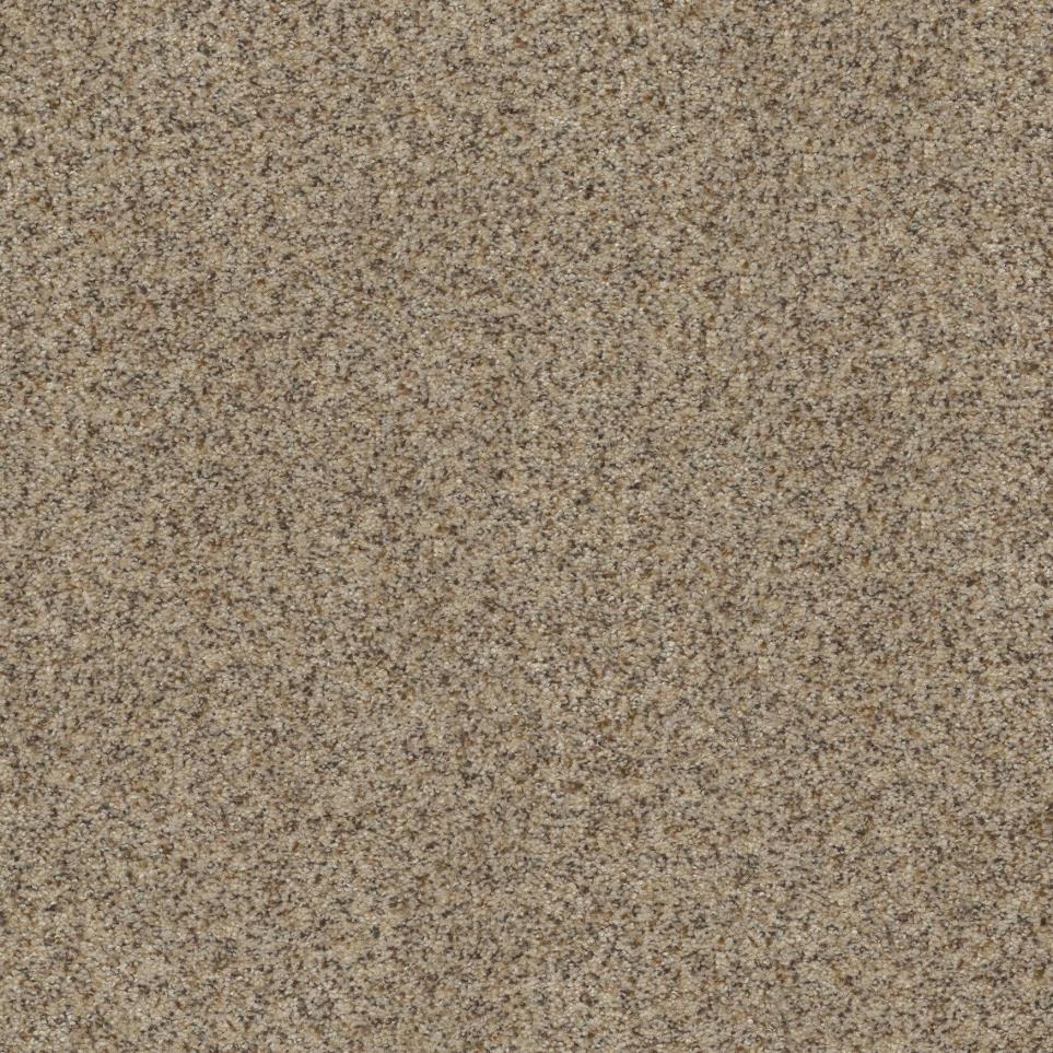 Texture Chamois Brown Carpet