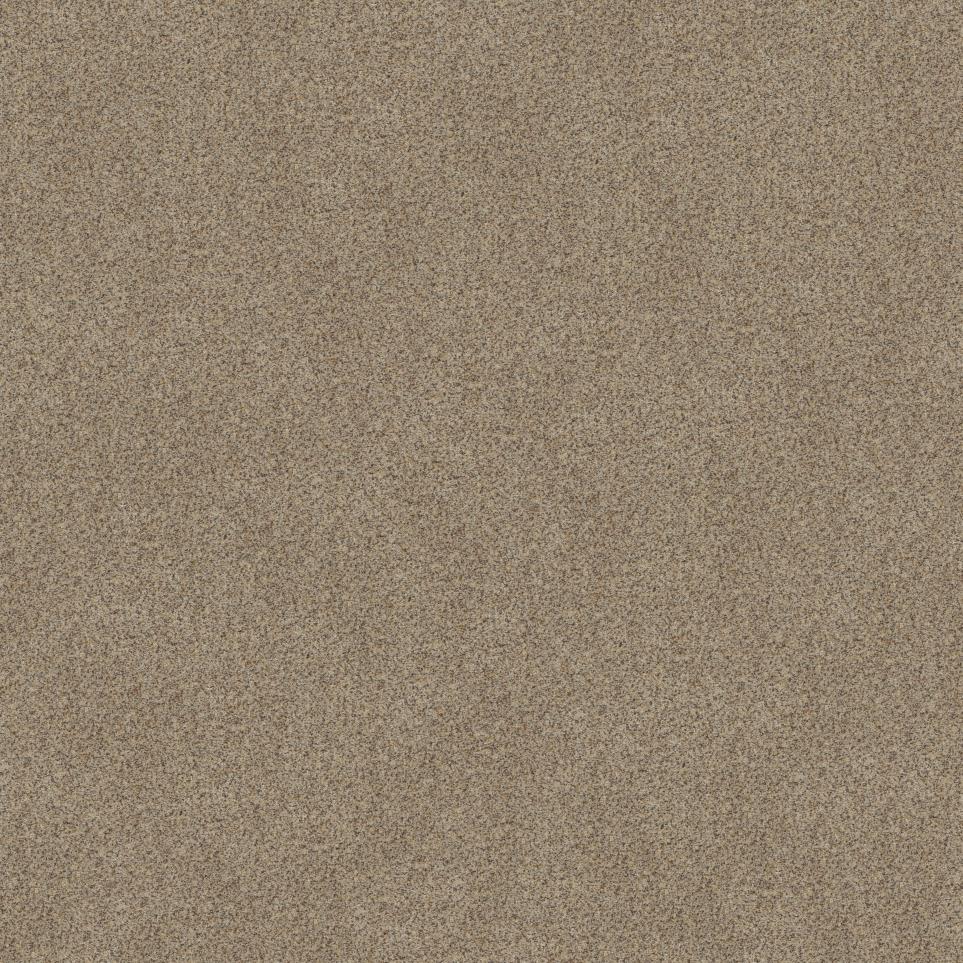 Texture Chamois Brown Carpet