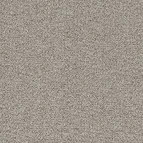 Berber Outstanding Gray Carpet
