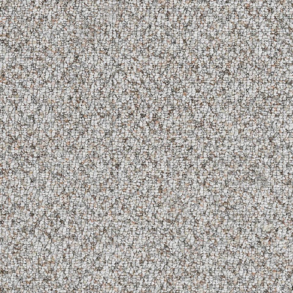 Berber Outstanding Gray Carpet