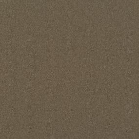 Textured Saxony Safari Tan Beige/Tan Carpet