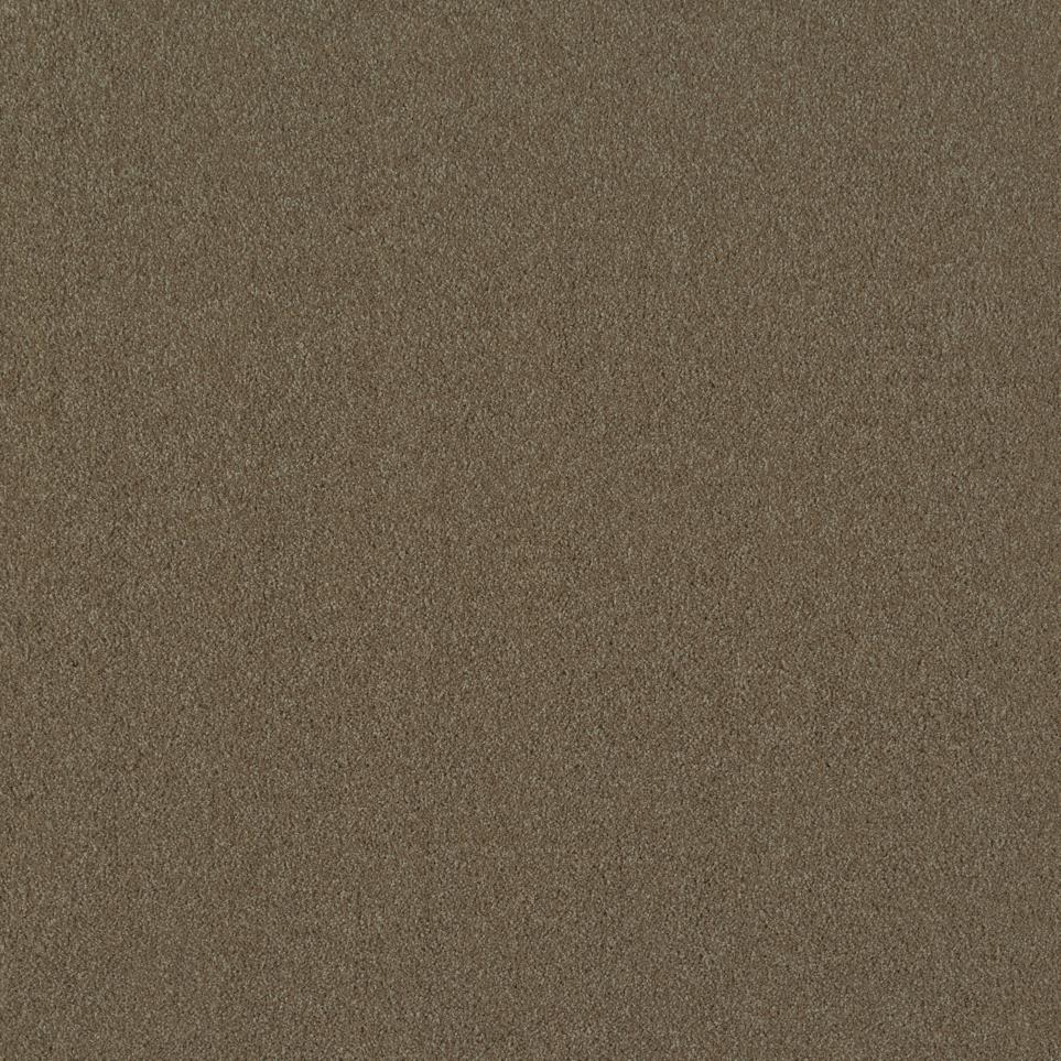 Texture Safari Tan Beige/Tan Carpet