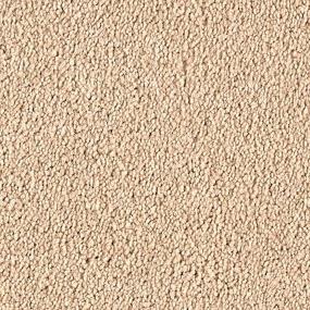 Textured Saxony Bashful Beige/Tan Carpet