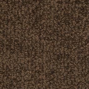 Loop Peek Brown Carpet