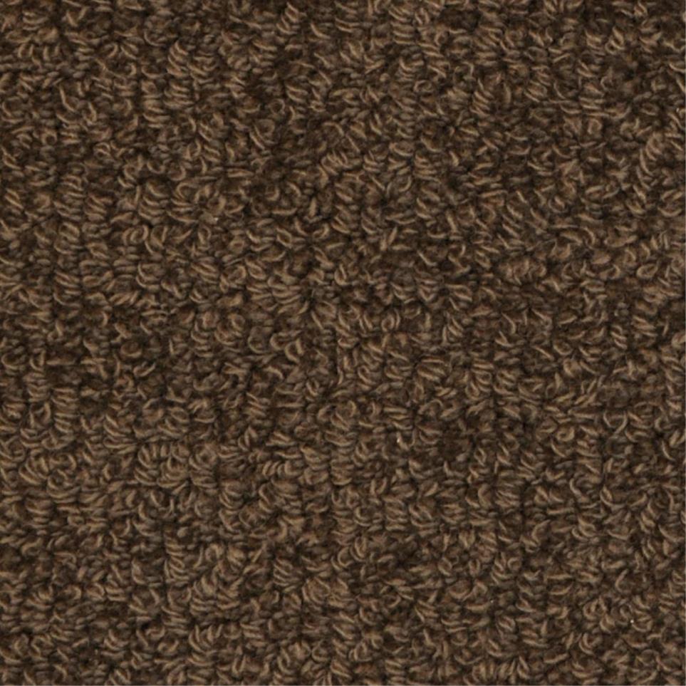 Loop Peek Brown Carpet