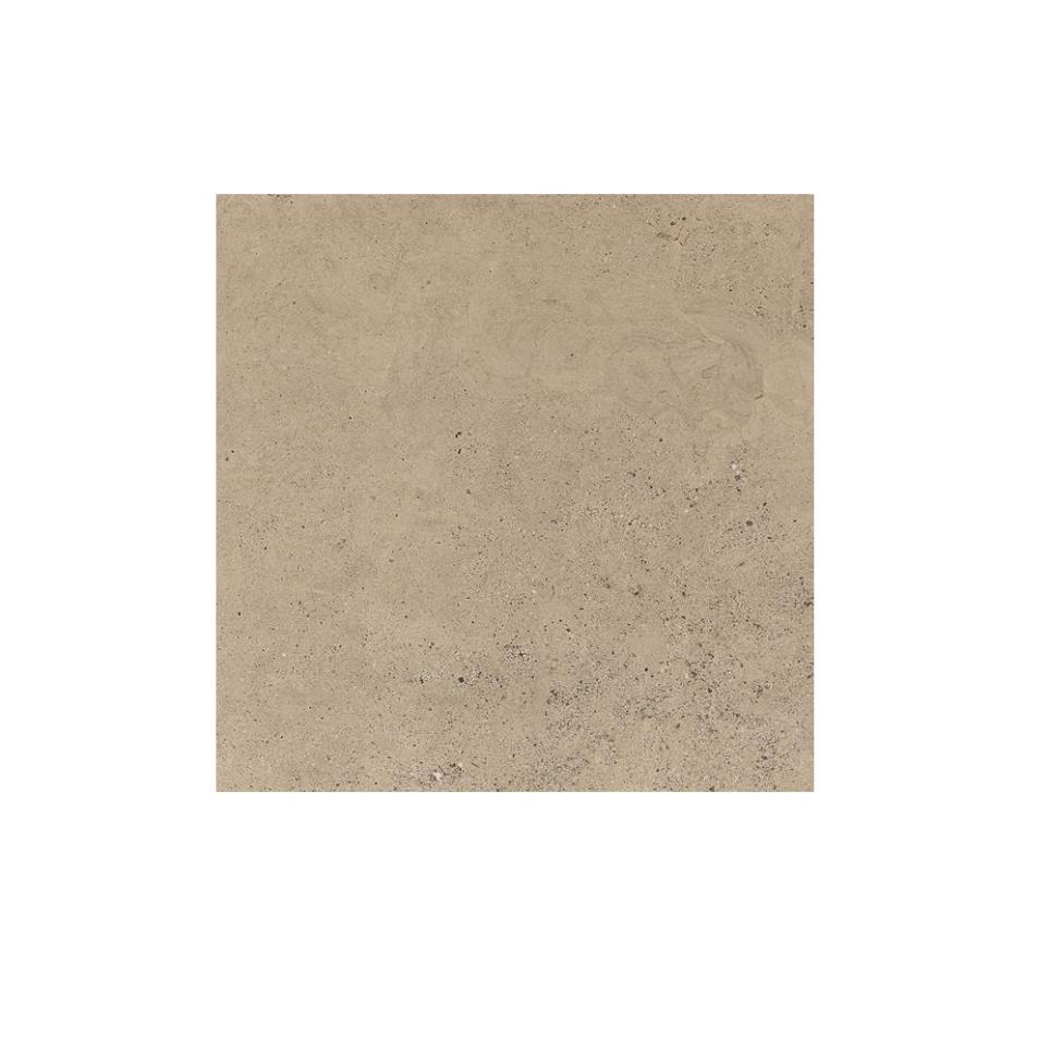 Tile Canyon Taupe Light Polished Beige/Tan Tile