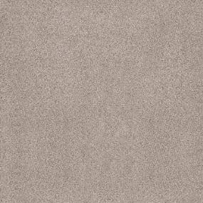 Plush Natural Gray Carpet