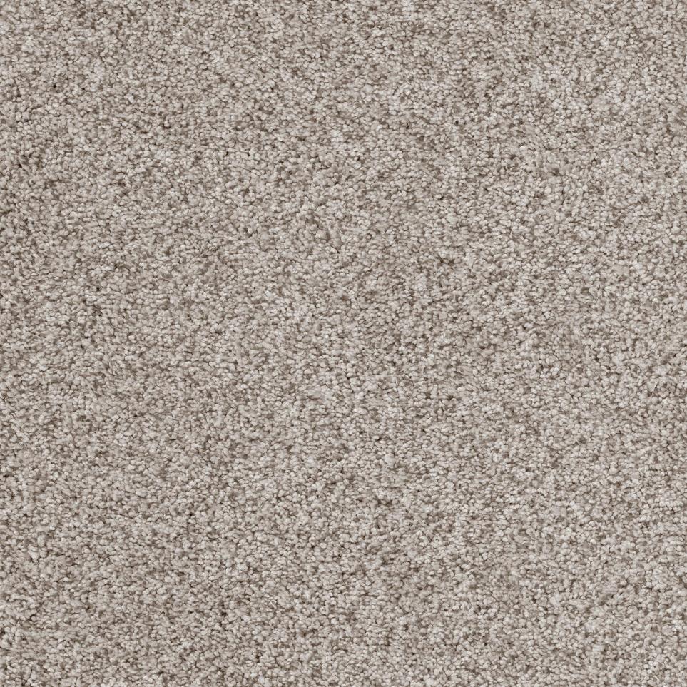 Plush Natural Gray Carpet