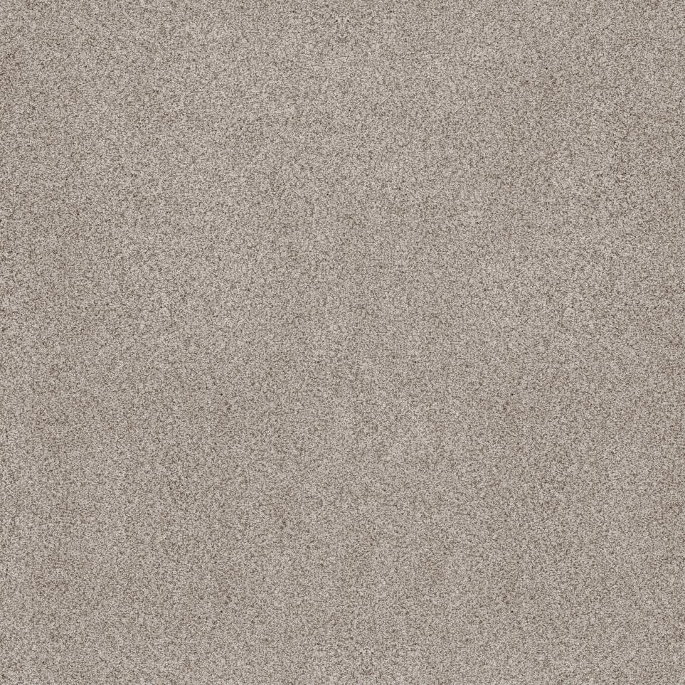 Plush Natural Gray Carpet