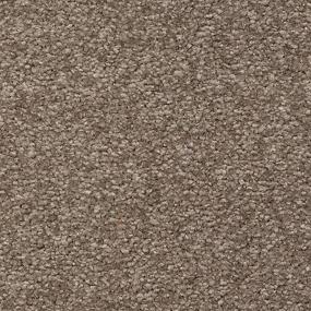 Textured Saxony Crewelwork Brown Carpet