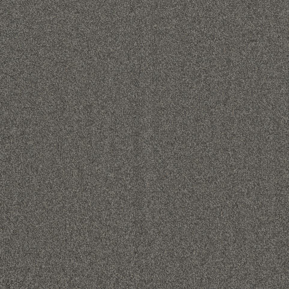 Textured Saxony Sonesta Black Carpet