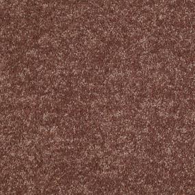 Textured Saxony Dutch Mocha Brown Carpet